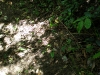 p9010331.jpg