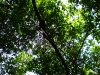 p9010343.jpg